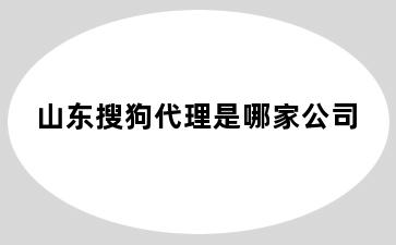 山东搜狗代理是哪家公司