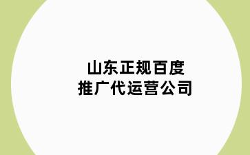 山东正规百度推广代运营公司