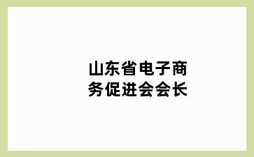 山东省电子商务促进会会长