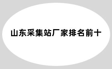 山东采集站厂家排名前十