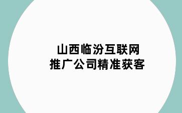 山西临汾互联网推广公司精准获客