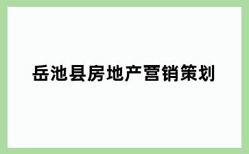 岳池县房地产营销策划