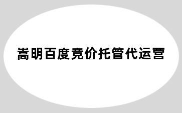 嵩明百度竞价托管代运营