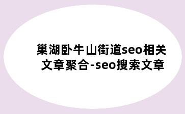 巢湖卧牛山街道seo相关文章聚合-seo搜索文章