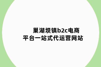 巢湖坝镇b2c电商平台一站式代运营网站