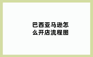 巴西亚马逊怎么开店流程图