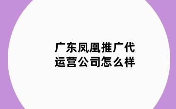 广东凤凰推广代运营公司怎么样