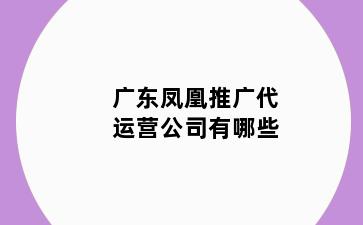 广东凤凰推广代运营公司有哪些