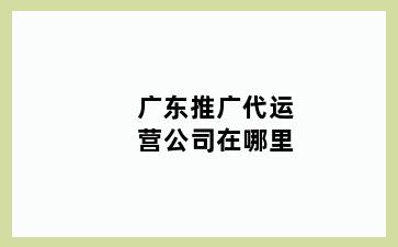 广东推广代运营公司在哪里