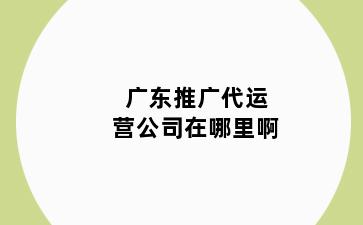 广东推广代运营公司在哪里啊