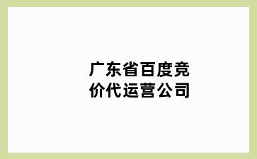 广东省百度竞价代运营公司