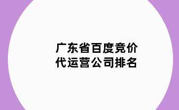 广东省百度竞价代运营公司排名