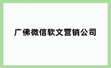 广佛微信软文营销公司