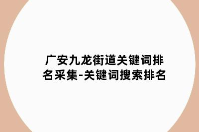 广安九龙街道关键词排名采集-关键词搜索排名