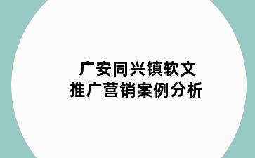 广安同兴镇软文推广营销案例分析