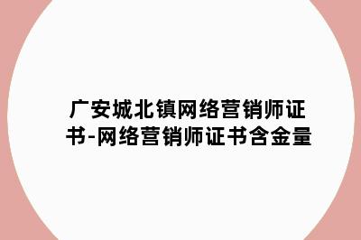 广安城北镇网络营销师证书-网络营销师证书含金量