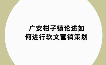 广安柑子镇论述如何进行软文营销策划