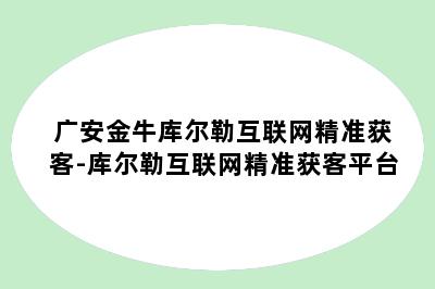 广安金牛库尔勒互联网精准获客-库尔勒互联网精准获客平台