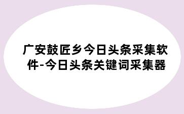 广安鼓匠乡今日头条采集软件-今日头条关键词采集器