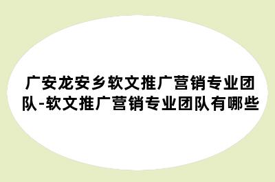 广安龙安乡软文推广营销专业团队-软文推广营销专业团队有哪些