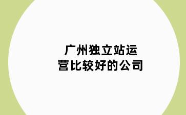 广州独立站运营比较好的公司