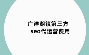 广洋湖镇第三方seo代运营费用