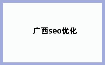 广西seo优化