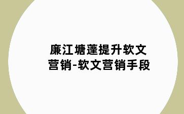 廉江塘蓬提升软文营销-软文营销手段