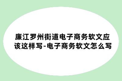 廉江罗州街道电子商务软文应该这样写-电子商务软文怎么写