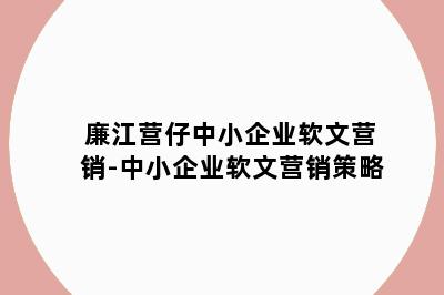 廉江营仔中小企业软文营销-中小企业软文营销策略