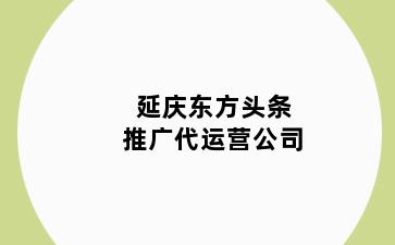 延庆东方头条推广代运营公司