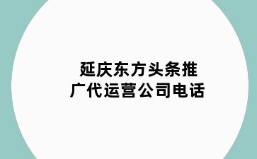 延庆东方头条推广代运营公司电话