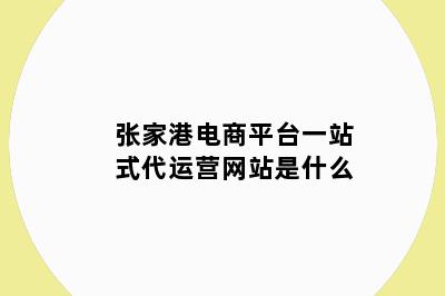 张家港电商平台一站式代运营网站是什么