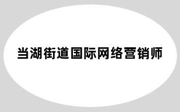 当湖街道国际网络营销师