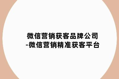 微信营销获客品牌公司-微信营销精准获客平台