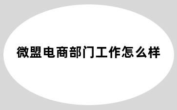 微盟电商部门工作怎么样