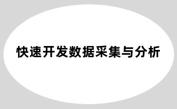 快速开发数据采集与分析