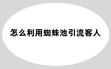 怎么利用蜘蛛池引流客人