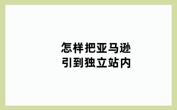 怎样把亚马逊引到独立站内