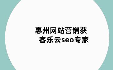 惠州网站营销获客乐云seo专家