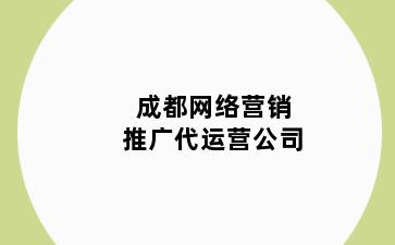 成都网络营销推广代运营公司