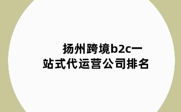 扬州跨境b2c一站式代运营公司排名