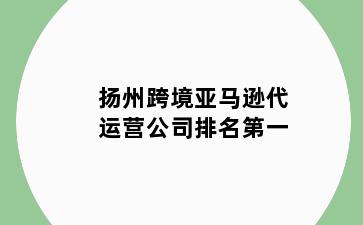 扬州跨境亚马逊代运营公司排名第一