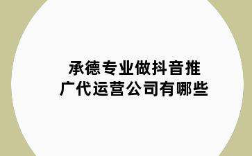 承德专业做抖音推广代运营公司有哪些