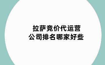 拉萨竞价代运营公司排名哪家好些