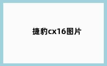 捷豹cx16图片