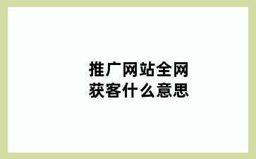 推广网站全网获客什么意思