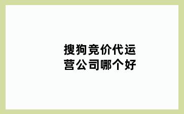 搜狗竞价代运营公司哪个好