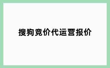 搜狗竞价代运营报价