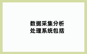 数据采集分析处理系统包括